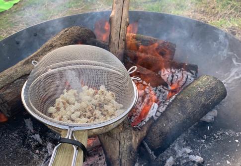 popping corn on an open fire