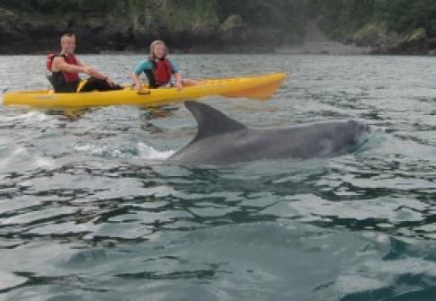 Kayak hire on the North Devon coast